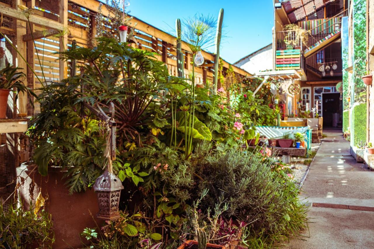 Hostal Valle Mistral La Serena Exterior foto